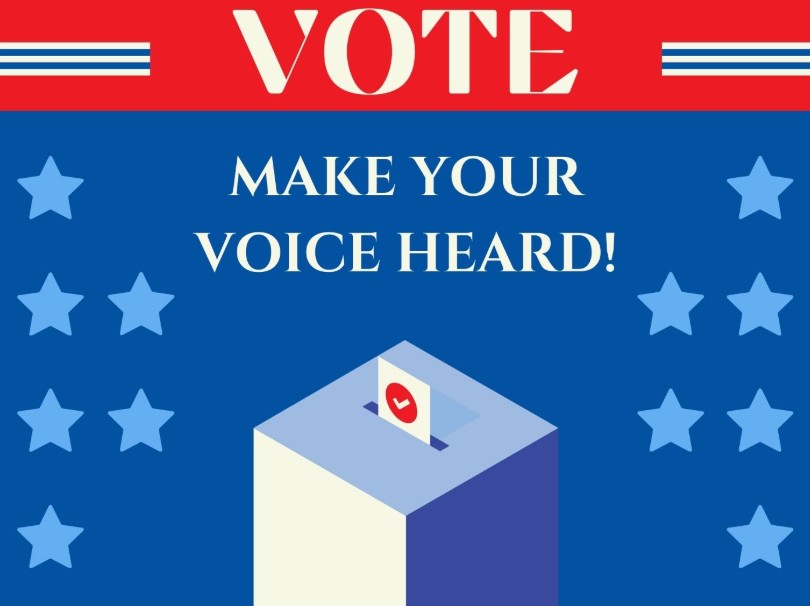 A ballot dropping into a ballot box beneath the words Vote, Make your voice heard